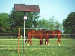 gallagher horse fence energizer