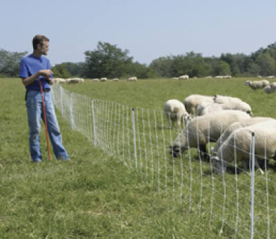 50m Electric Sheep Netting with Gallagher 9v Energiser plus battery 